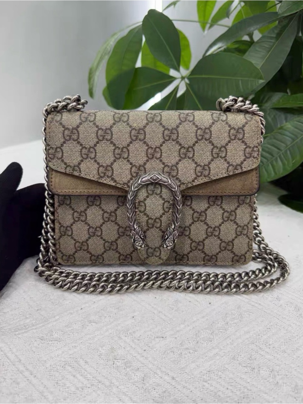 Gucci Brown GG Supreme Dionysus Shoulder Bag with Silver Hardware